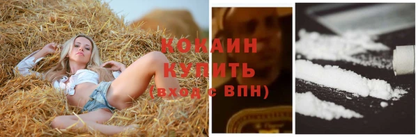 ПСИЛОЦИБИНОВЫЕ ГРИБЫ Михайловка