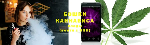 ПСИЛОЦИБИНОВЫЕ ГРИБЫ Михайловка