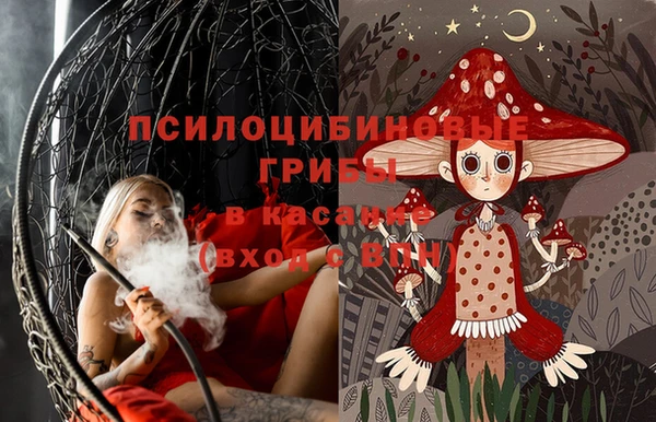 ПСИЛОЦИБИНОВЫЕ ГРИБЫ Михайловка