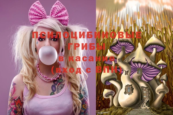 спиды Михайловск