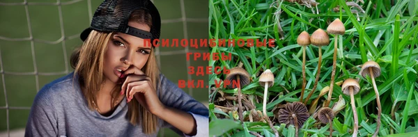первитин Мегион