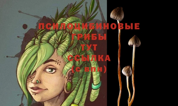 первитин Мегион