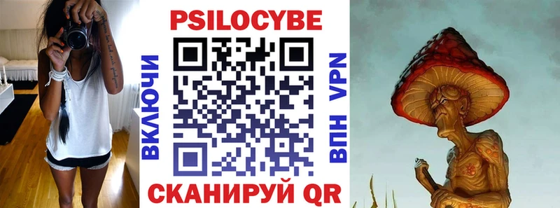 купить наркотики цена  Биробиджан  кракен зеркало  Галлюциногенные грибы Psilocybe 
