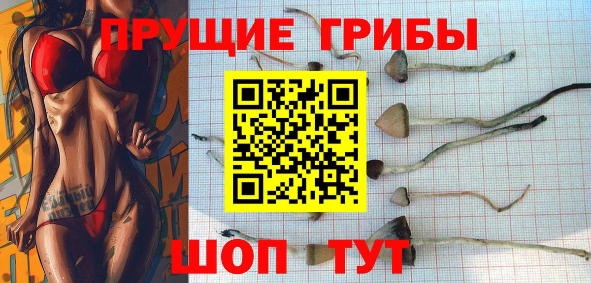 Галлюциногенные грибы Magic Shrooms  наркота  Биробиджан  Псилоцибиновые грибы мицелий  Вход с VPN 