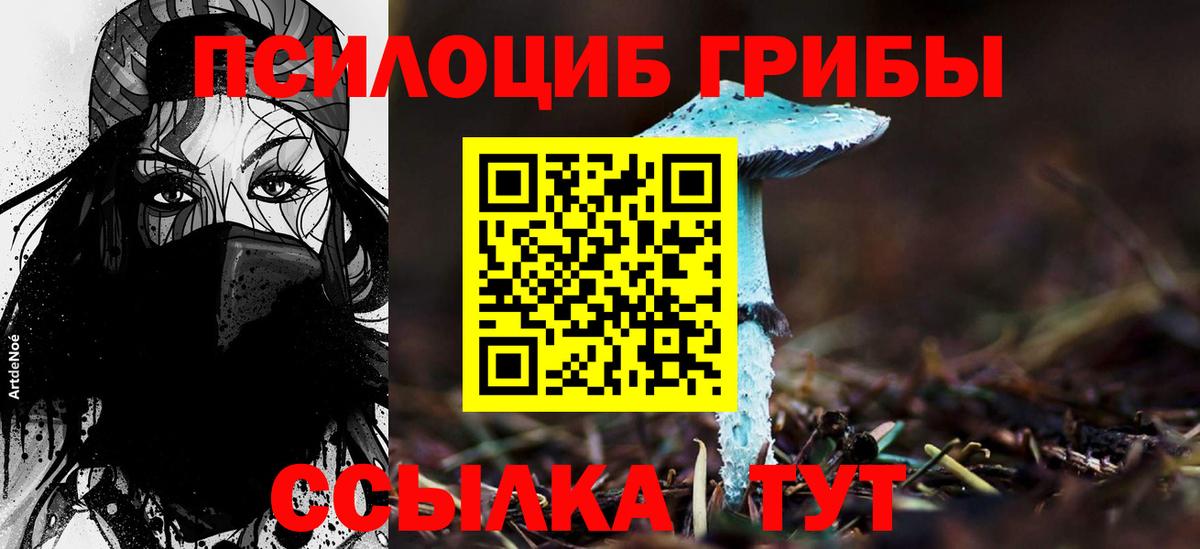 Псилоцибиновые грибы Psilocybine cubensis Биробиджан